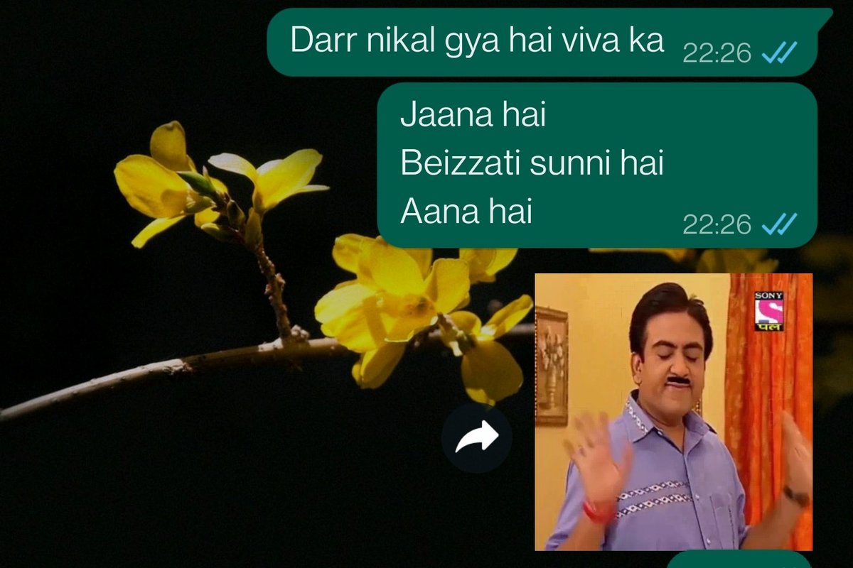 notGauri's tweet image. Practical exam mood&amp;gt;&amp;gt;&amp;gt;&amp;gt;&amp;gt;&amp;gt;&amp;gt;&amp;gt;&amp;gt;&amp;gt;&amp;gt;