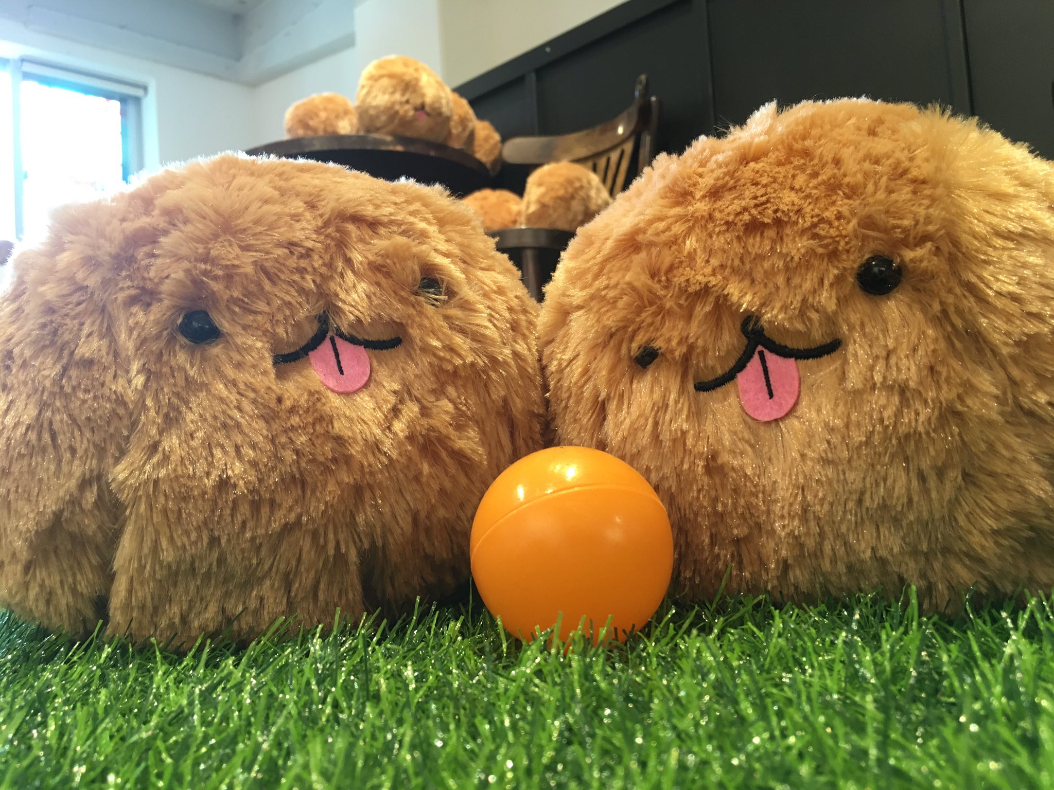 ぽめらに庵 POMENUI YETI VACATIONS ぬいぐるみ ポメぬい YETI VACATIONS على X: 