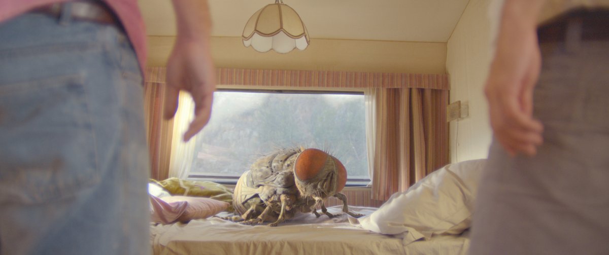 DavidGarridoBaz's tweet photo. Hoy jueves a las 20:30 @FilmotecaEx proyecta en Mérida la delirante #Mandibulas del genial Quentin Dupieux. Dos majaderos entrañables encuentran una mosca gigante y deciden amaestrarla. Punto de partida de una comedia surrealista repleta de gags absurdos. Déjense llevar.
¡TORO!🤘🏽 https://t.co/uCqho4ry0G