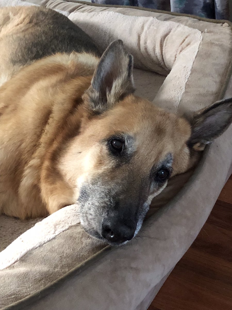 Tanner Biagini tweet media