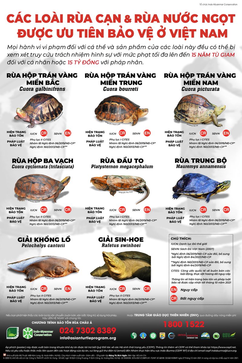 Asian Turtle Program tweet media