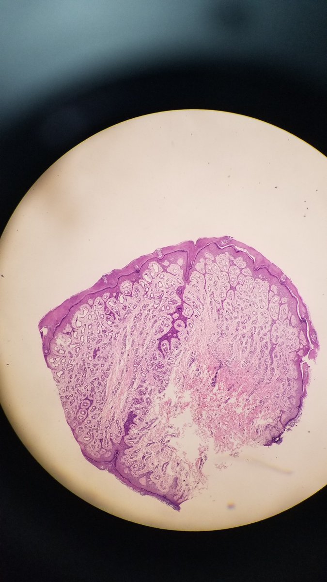 171909771 tweet media