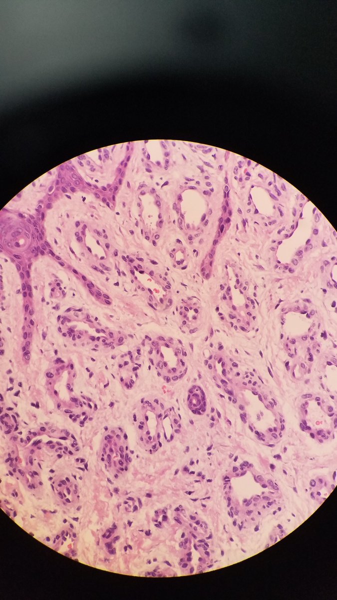 171909771 tweet media