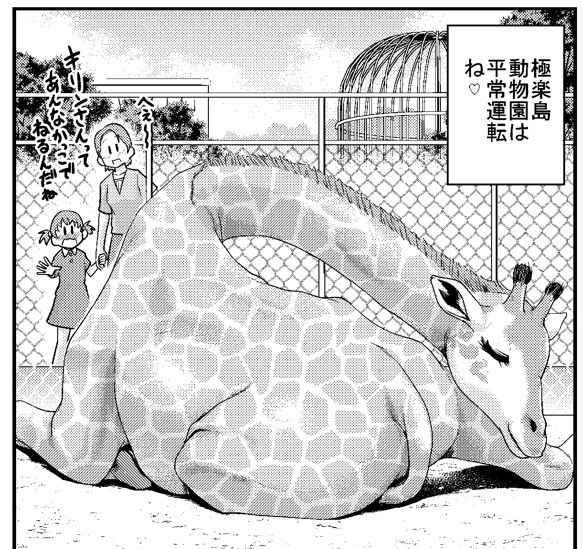 眠るキリンさん🦒 
