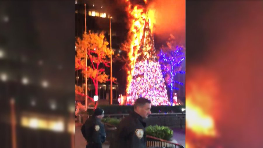 beinggerric's tweet photo. Damn.
They should have raked.
#ONE2DAY
#TRUTH2VOICE
#foxchristmastree https://t.co/LalfFlCbbn