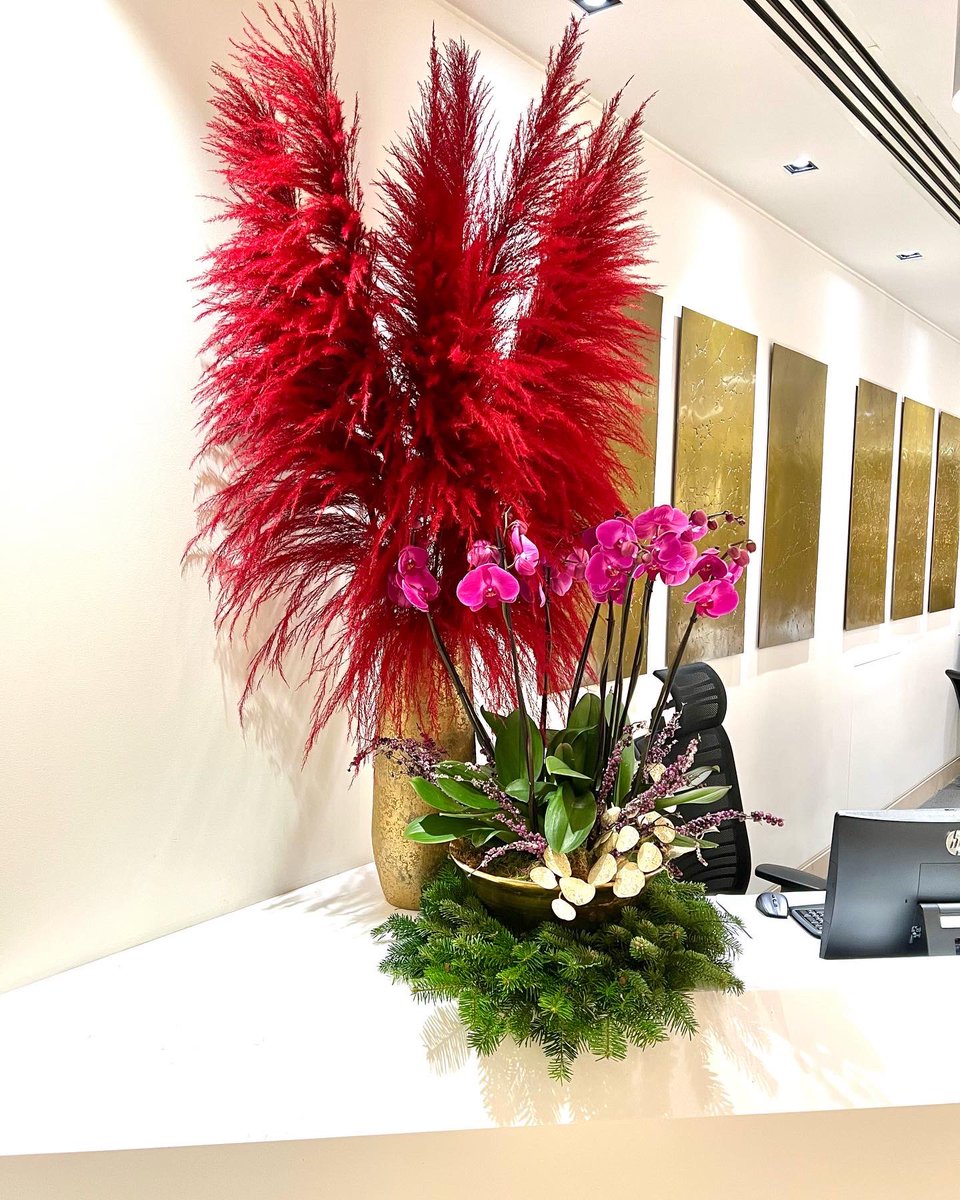 RBFloralDesign's tweet photo. A splash of red to bring the Christmas spirit

#christmas2021 #christmas #77grosvenorst #qataridiar #essexflorist #leadenroding https://t.co/svj8UN7ytP