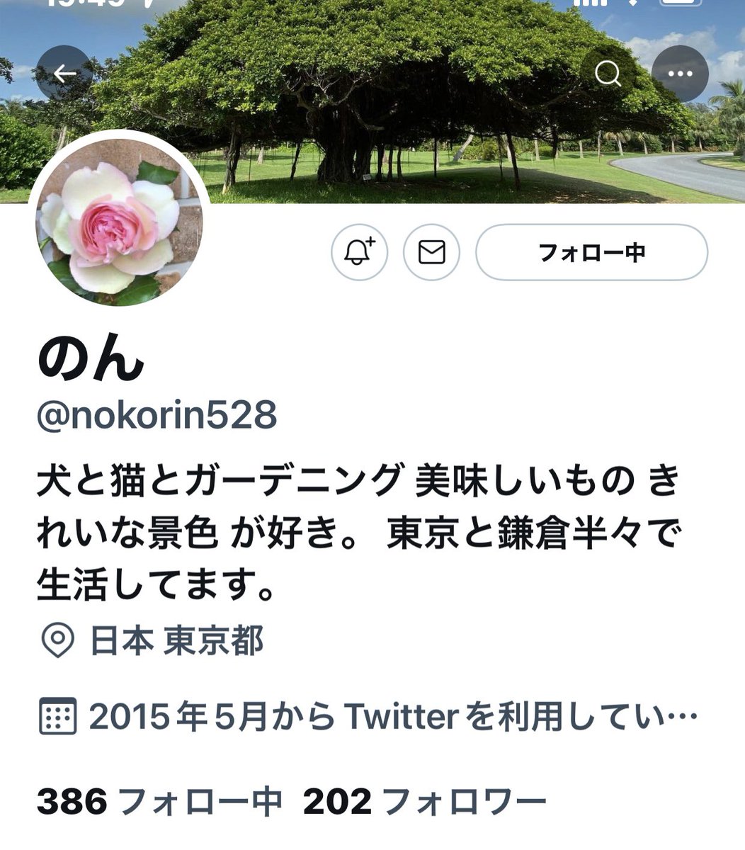 はらぺこNo.15No.23 のこのこ (@N0kox2) / Posts / X