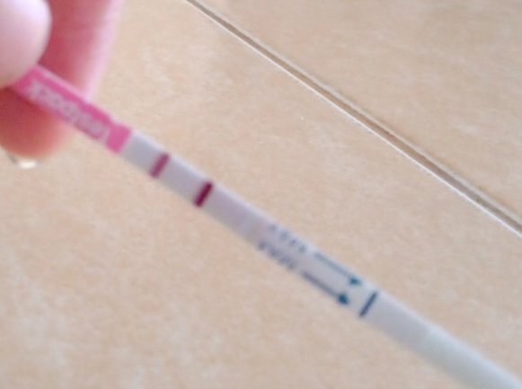 helonawff's tweet photo. Tolong, Alhamdulillah aku lagi hamil 10 minggu, tapi beberapa hari ini perutku sakit &amp; keram dibagian janin. Aku mau check kedokter belum ada uang, tolong bantu pesen jasa gambarku siapapun aku mohon, aku takut ada apa-apa lagi.
Tolong bantuan rt &amp; sharenya, makasih 😭 https://t.co/NxOZI685Wf