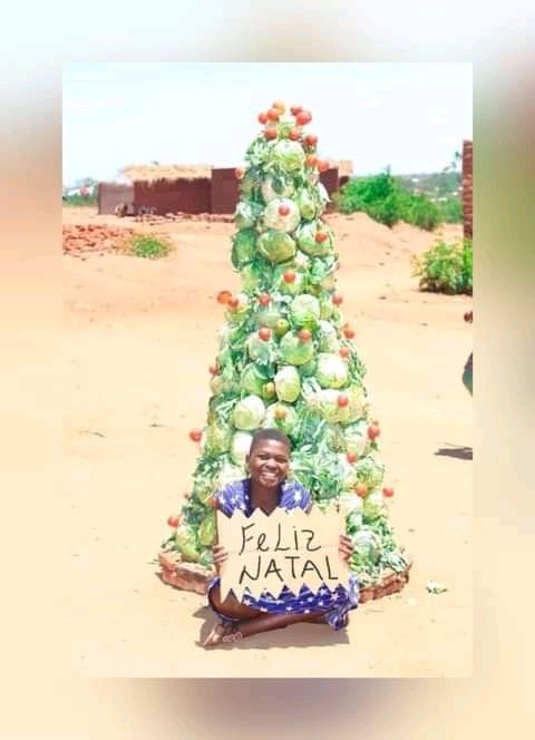 mateuscafonso's tweet photo. Feliz Natal

#digitalmarketing #guiaturistico https://t.co/zQIavgK9OH