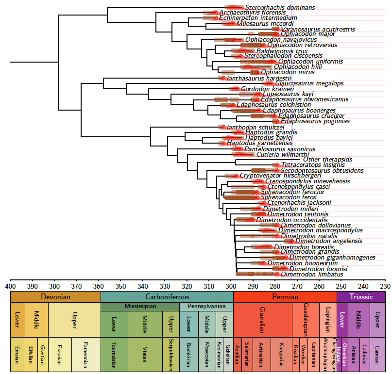 Here is the figure that presents the main empirical findings