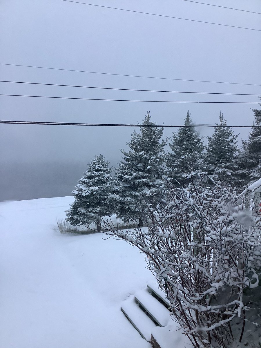 Morning ⁦⁦<a href="/BoydStuckless/">Boyd Stuckless</a>⁩ , my view this morning. Have a pleasant day.,