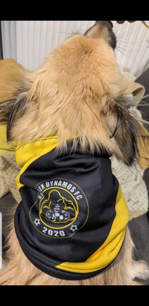 Our Fleece snoods are perfect for your dogs aswell 👀👍