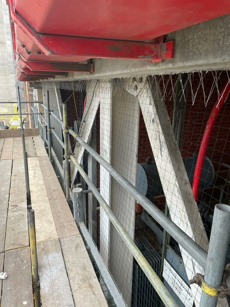 TotalPestUK's tweet photo. Pigeon proofing completed in Slough by our specialist bird team. Netting and spiking are discreet, humane, and long-lasting methods of keeping areas bird free. For more info, or to organise your free site survey, call 0800 772 0554 or click below 👇
https://t.co/mOXQ1uGMTi https://t.co/RWB9AgoBSK