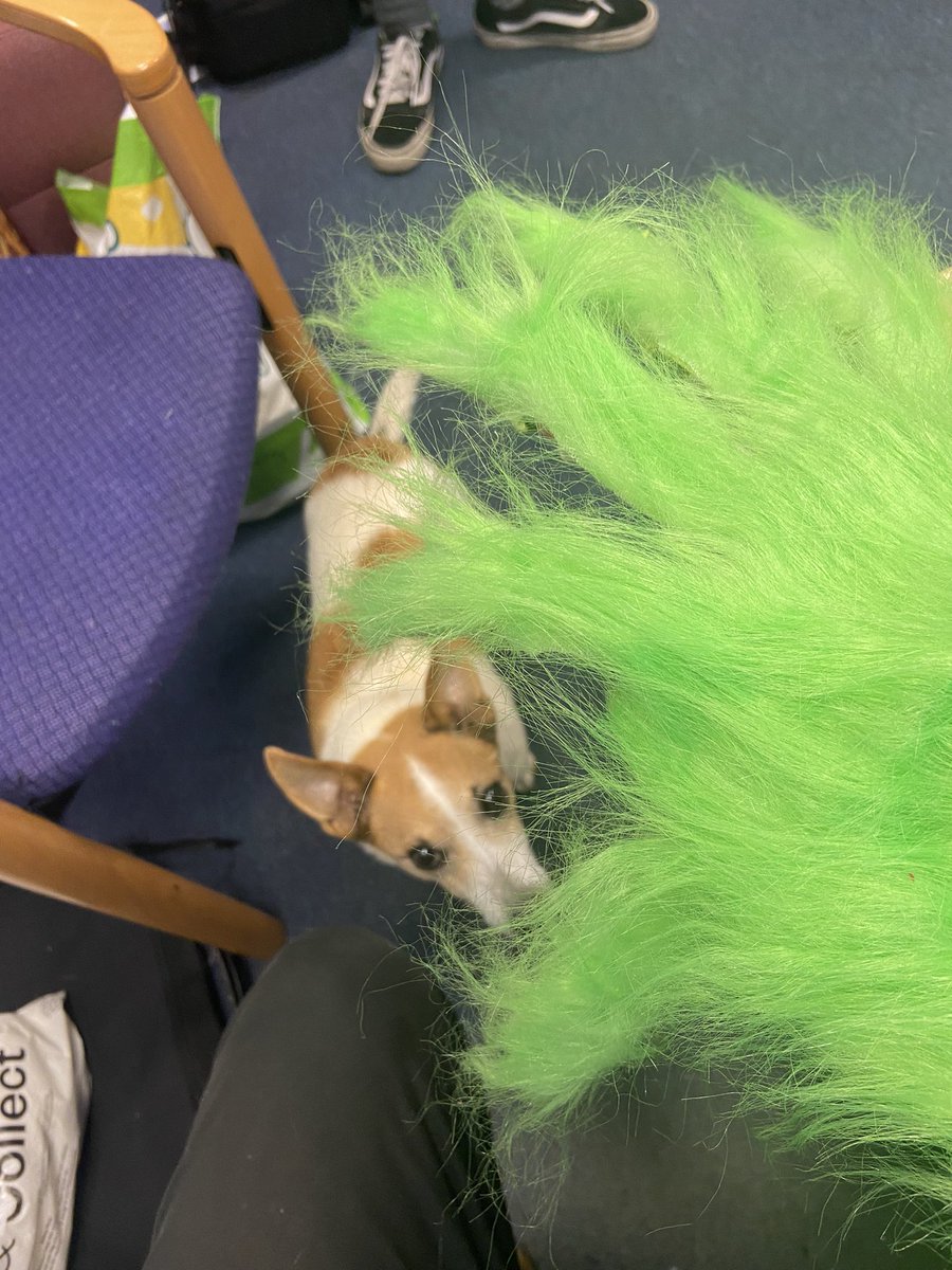 Q20 Events (@q20events) on Twitter photo Something Grinchmassy this way comes. 💚
#ComingSoon #OfficeDog #HesTheBoss Something Grinchmassy this way comes. 💚
#ComingSoon #OfficeDog #HesTheBoss