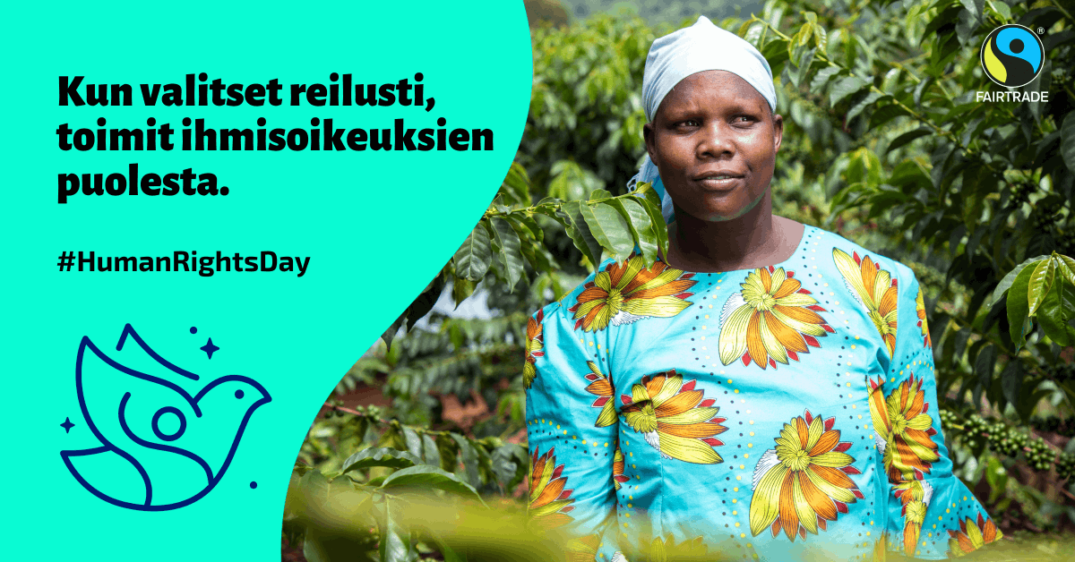 ReilunP's tweet photo. Huomenna vietetään YK:n ihmisoikeuksien päivää. #reilukauppa #reilunkaupankaupunki #pori https://t.co/mbHhLSjcAw