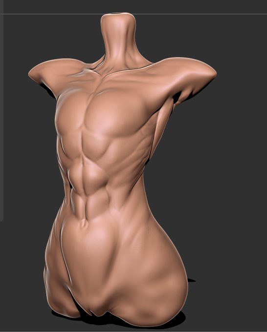 アップデートされた解剖学の知識をもとにデッサン人形を改修中

今回の頑張ったポイントは上腕三頭筋長頭の接続部分、広背筋と大・小円筋との位置関係です 