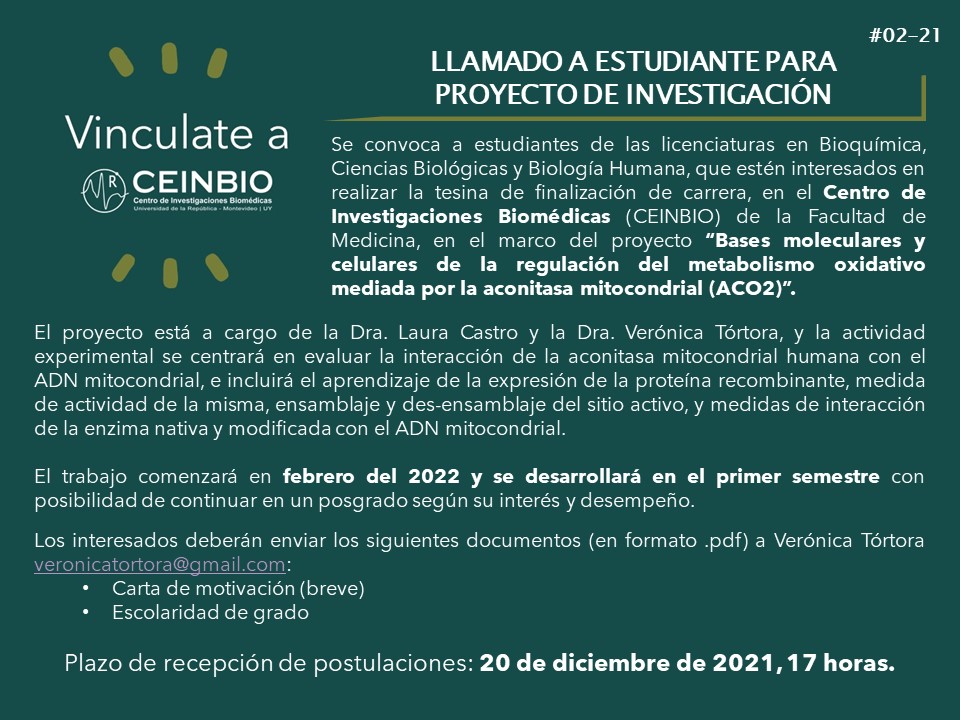 #VinculateaCEINBIO 

Para estudiantes de grado, en el marco del proyecto “Bases moleculares y celulares de la regulación del metabolismo oxidativo mediada por la aconitasa mitocondrial (ACO2)”

📩Carta y escolaridad en pdf a veronicatortora@gmail.com hasta el 🗓️20 de diciembre