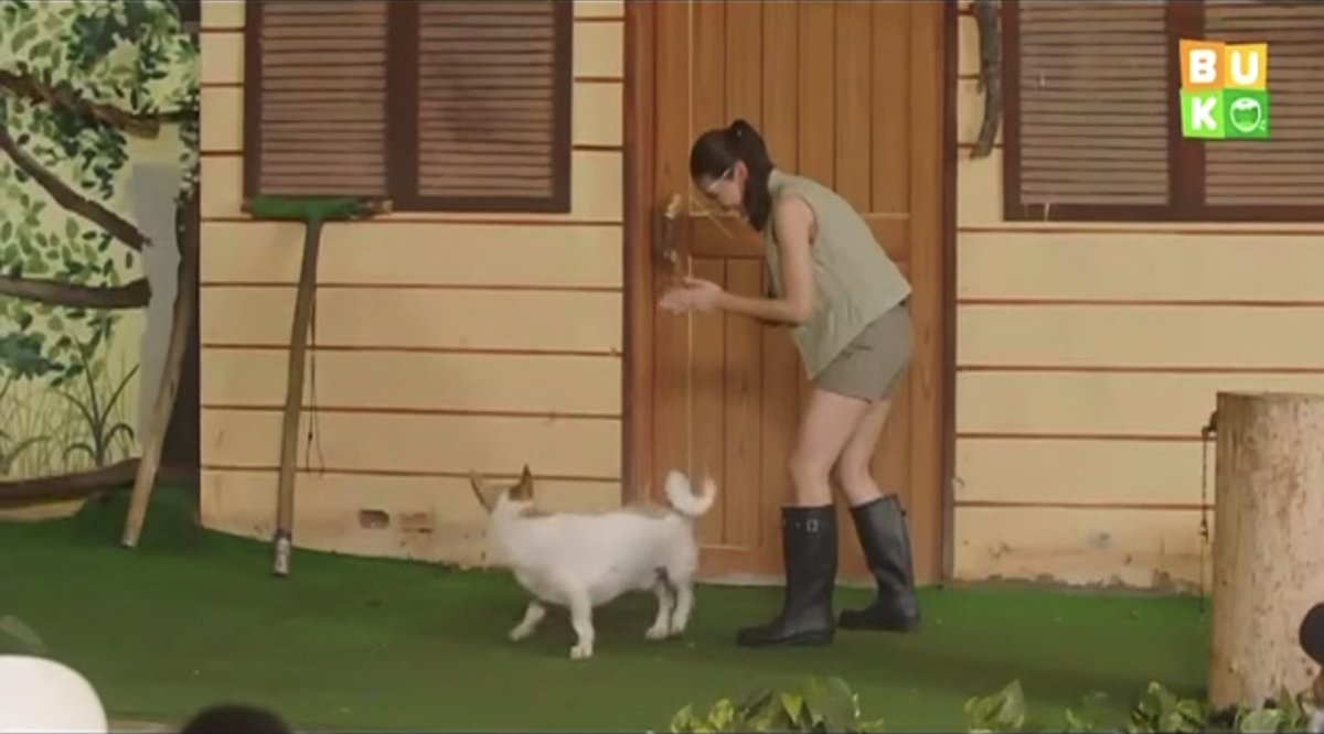 FeelGoodSaBuko's tweet photo. Samahan na ang besties na sina @mainedcm, @Chamyto, at @Chichirita25 sa kanilang pag-achieve ng kanilang #goal bilang animal trainers! 

#MaineGoals 
#FeelGoodSaBuKo https://t.co/MAUMpL44Ht