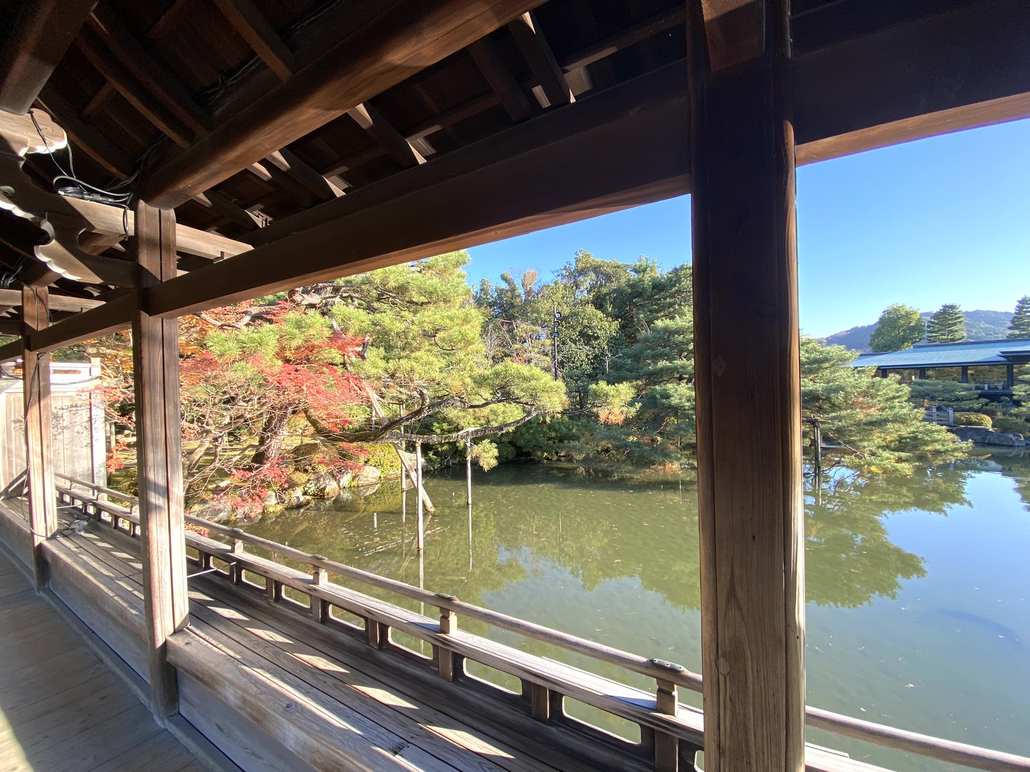 平安神宮 Twitter Search Twitter