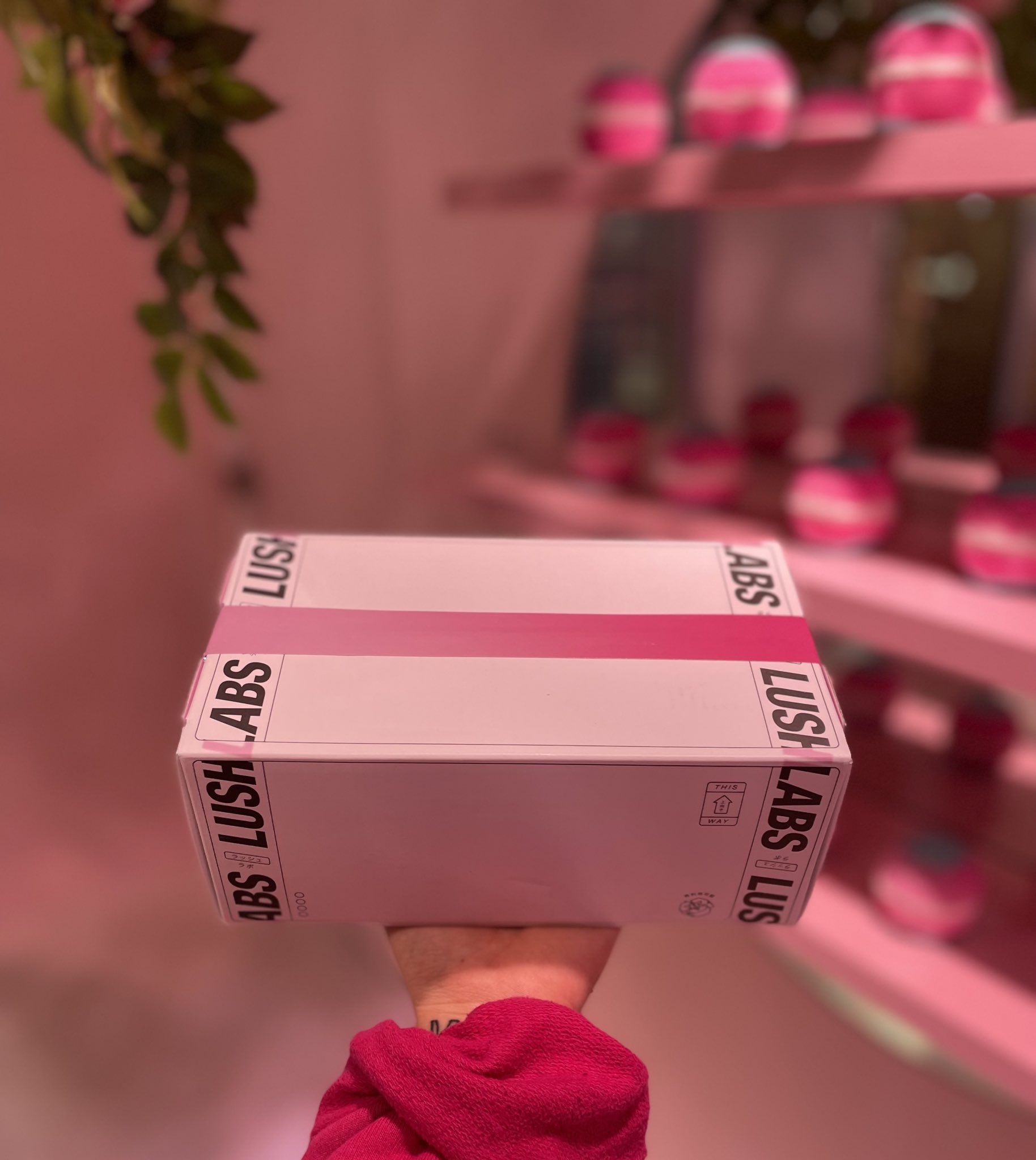 Lushイクスピアリ舞浜店 Lushjp Ikspiari Twitter