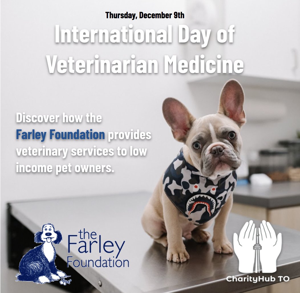 From dogs to Chinese water dragons, The Farley Foundation is committed to ensuring that no financial barrier for veterinary care comes between owners and their beloved pets. 

Discover how you can support their cause at farleyfoundation.org.