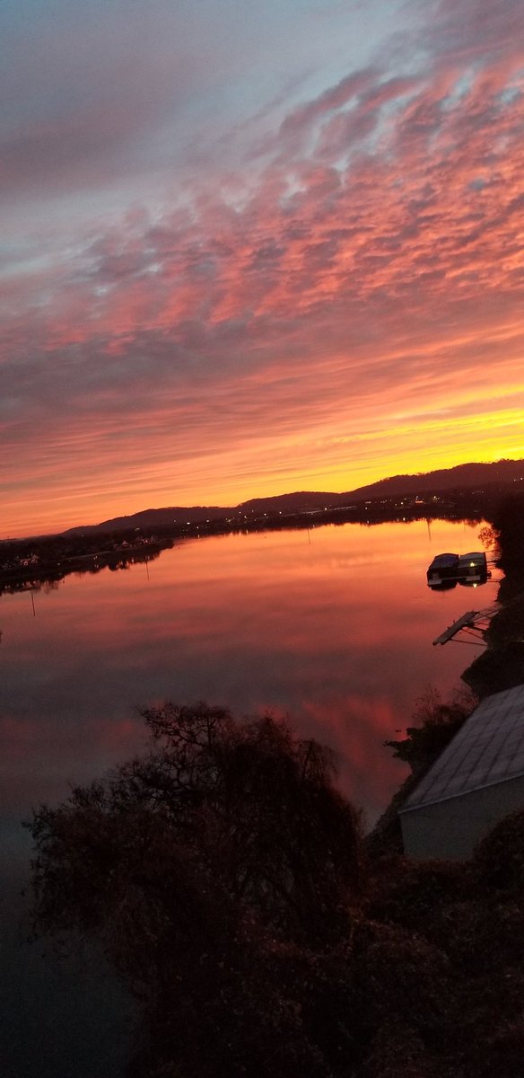 MarissaChatt's tweet photo. Is this even real life?! 🤩 #nofilter https://t.co/d91KxDkhoi