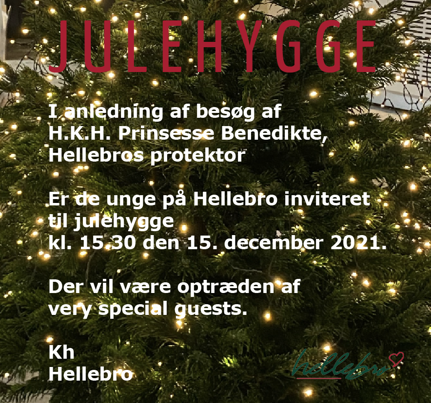 EvaRiedel's tweet photo. Så er juletræerne oppe og oplyst på #Hellebro
En udvalgt invitation til Hellebros unge i anledning af julehyggebesøg med special guests af
H.K.H. Prinsesse Benedikte kl. 15.30 den 15. december 2021.
#kongehus #unge #hjemløse #hjerterum #dksocial https://t.co/8SPar3labq