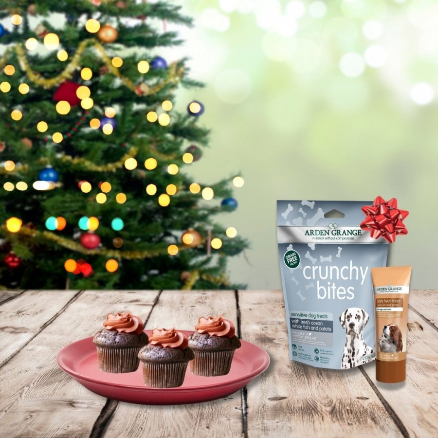 CityDogExpert's tweet photo. Healthy Homemade Christmas Cupcakes for Your Dog - https://t.co/71kMxH3B9Q https://t.co/rXjQhCRf7a