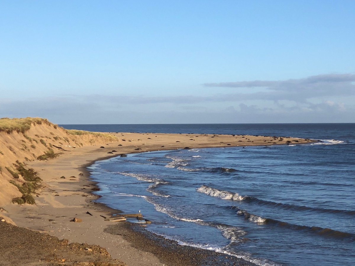 Winterton Beach Car Park tweet media