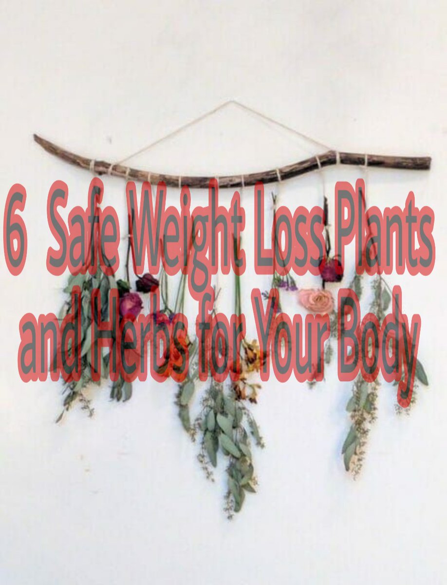 HelthyCare's tweet image. Read article
helthcare70.blogspot.com/2021/11/6-safe…