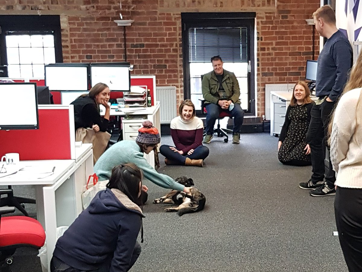 Red Brick Research tweet media