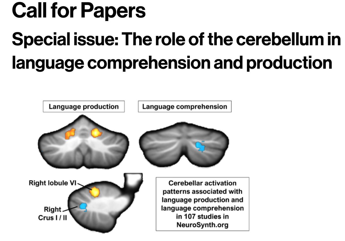 Call for papers for Special Issue on the role of the *cerebellum* in language comprehension and production! | direct.mit.edu/DocumentLibrar… | Submit your cutting-edge cerebellar research to Guest Editors Julie Fiez & Catherine Stoodley