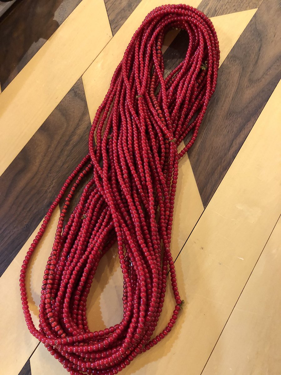 Old Coin Company (@oldcoincompany) / Posts / X