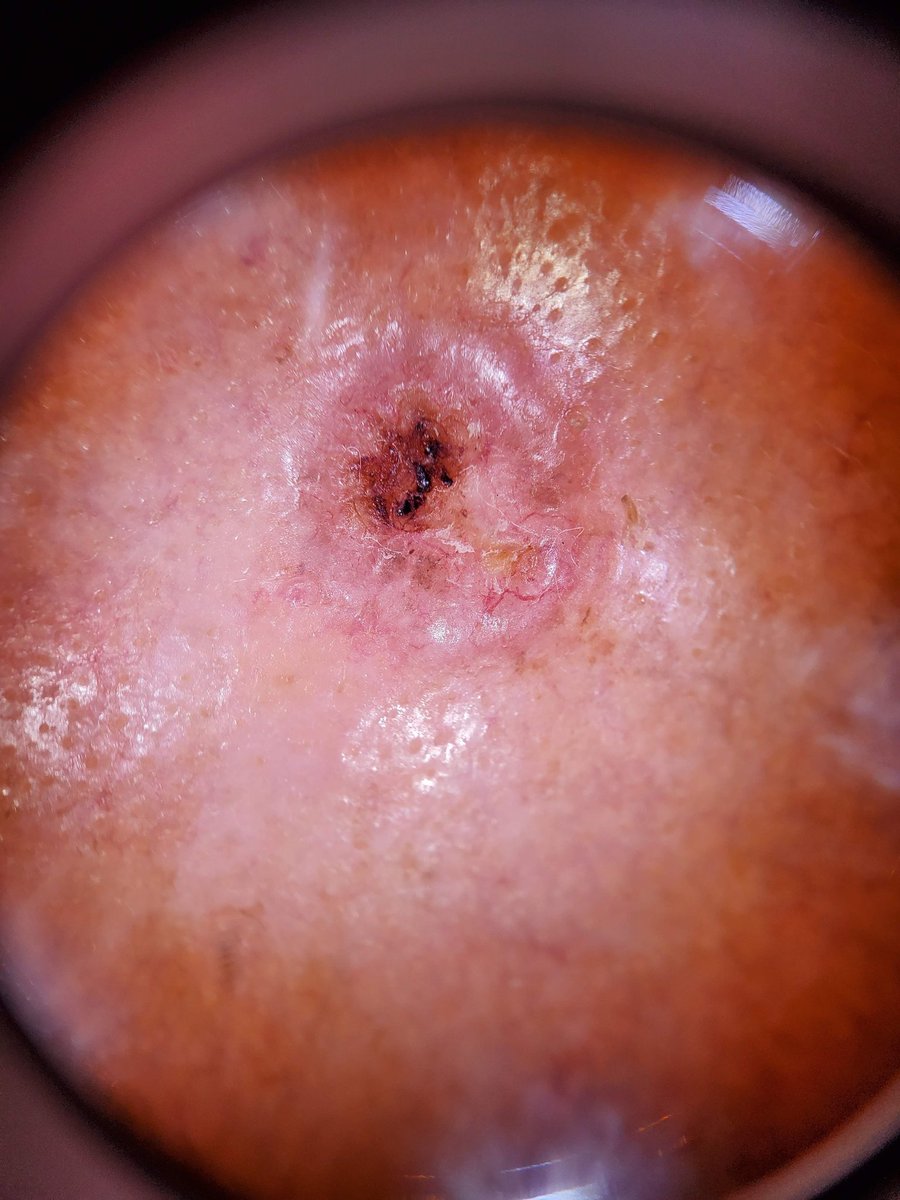 Dermnemonics tweet media