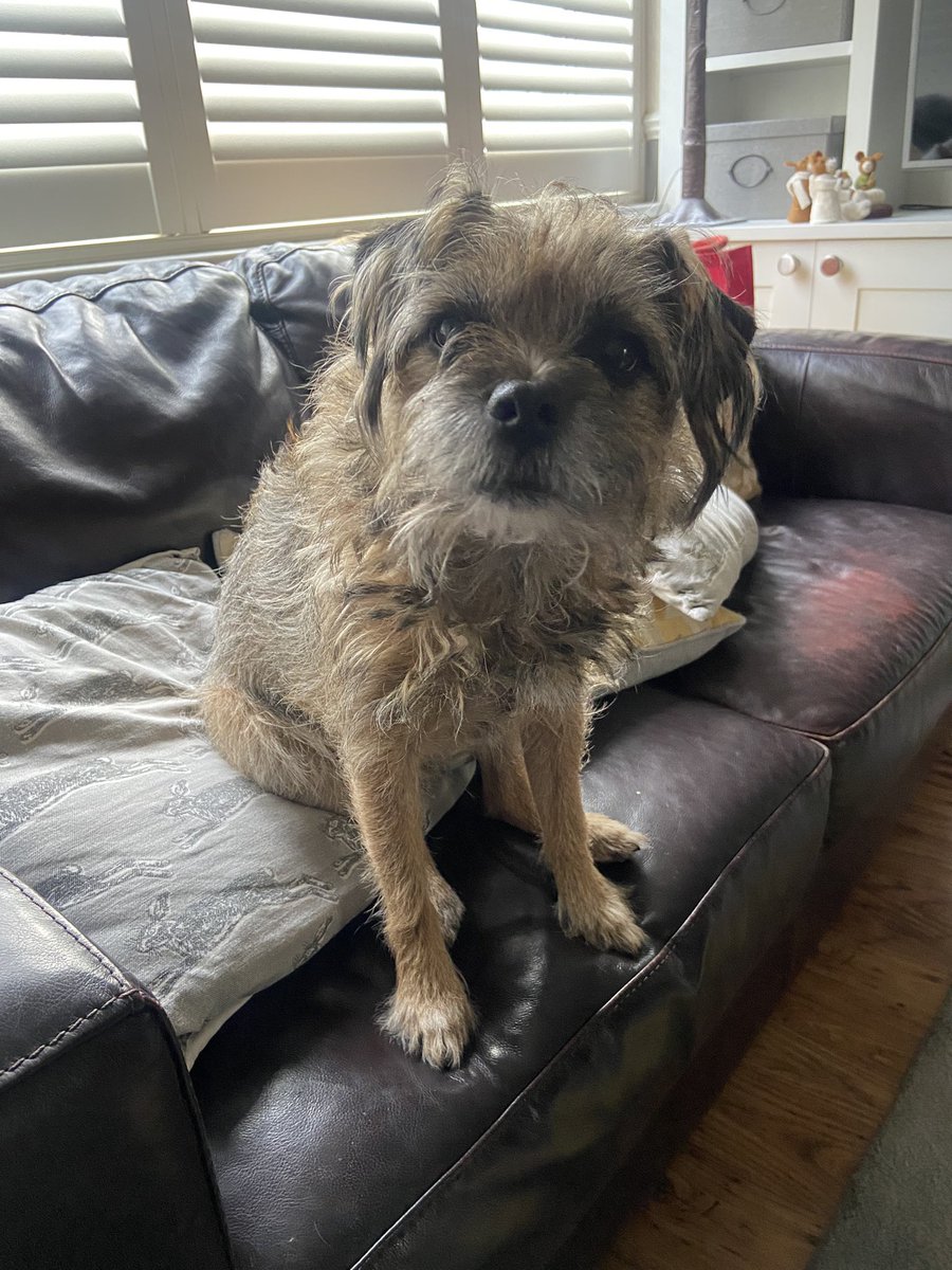 RonnieRubyElsa's tweet image. Please can I have my advent calendar now? ❤️