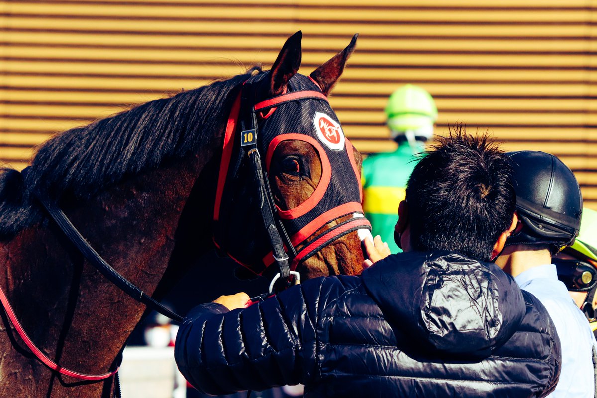 majesty_bio's tweet photo. 2021/12/05　中山2R・2歳未勝利
青木先生にずーっとナデナデしてもらっていたファディッシュ。

#ファディッシュ
#青木孝文厩舎 https://t.co/us0GQgnqEd