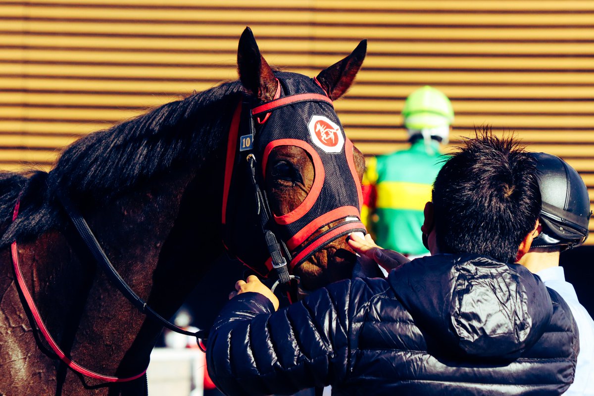 majesty_bio's tweet photo. 2021/12/05　中山2R・2歳未勝利
青木先生にずーっとナデナデしてもらっていたファディッシュ。

#ファディッシュ
#青木孝文厩舎 https://t.co/us0GQgnqEd