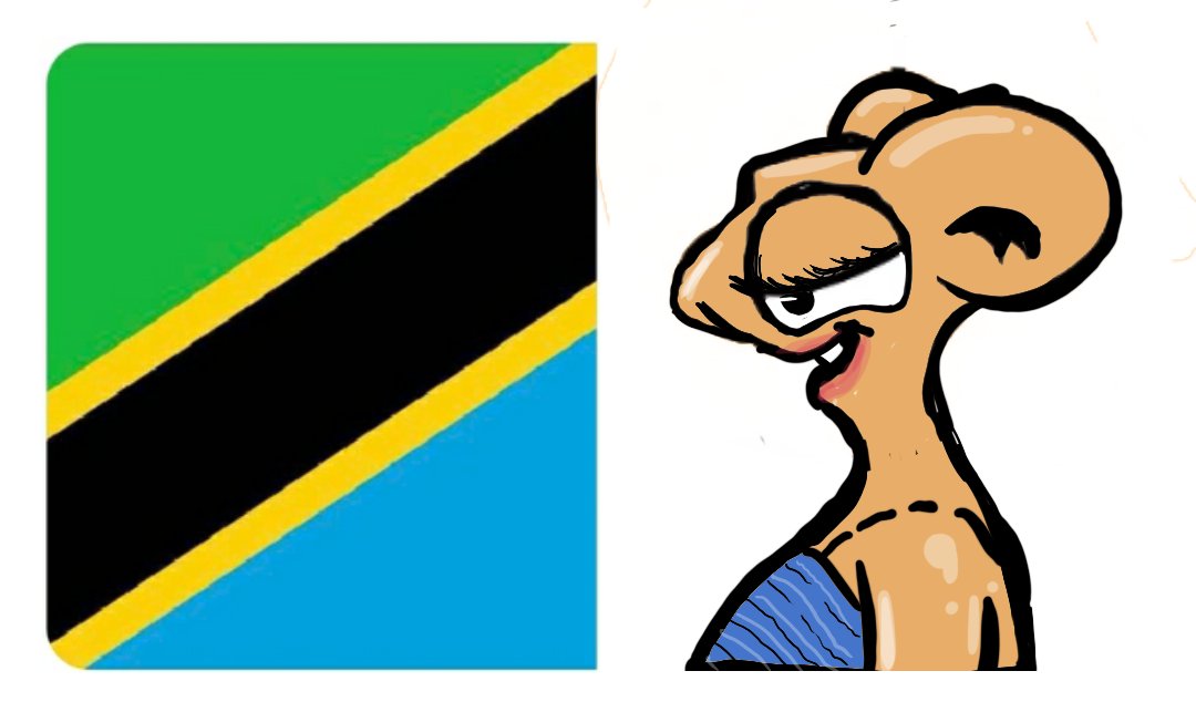 masoudkipanya's tweet image. Ze flag                    |    Ze  Mrs..