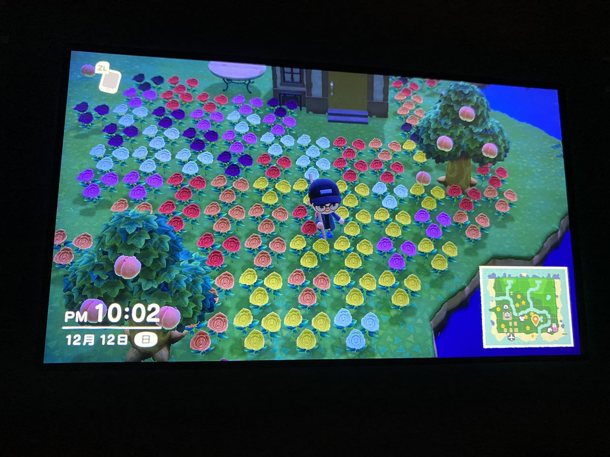 あつまれどうぶつの森 ピンクのヒヤシンスの入手方法と使いみち あつ森 攻略大百科