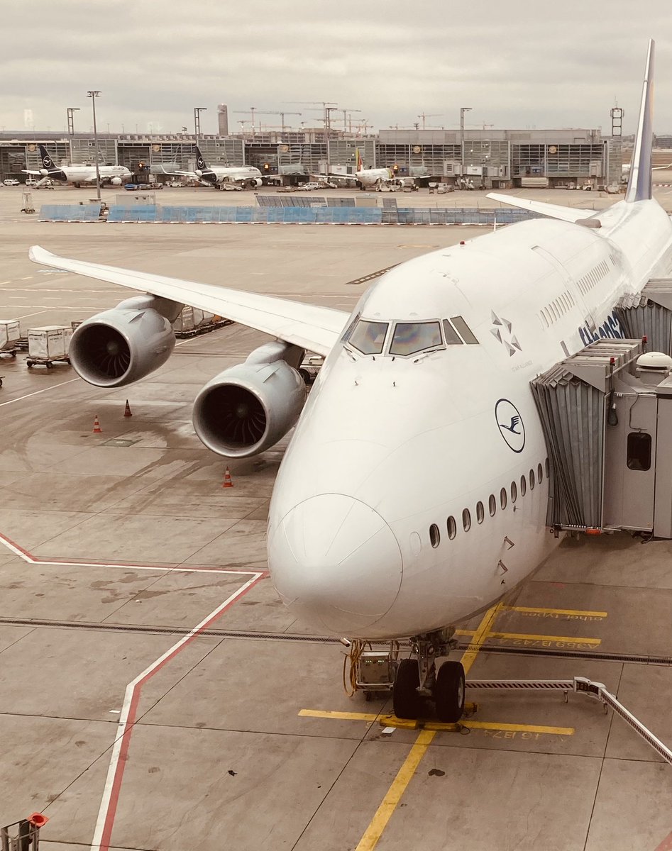 Joe Diaz 🛫🛫🛫 tweet media