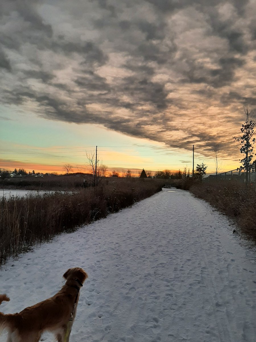 Emily Christoffersen tweet media