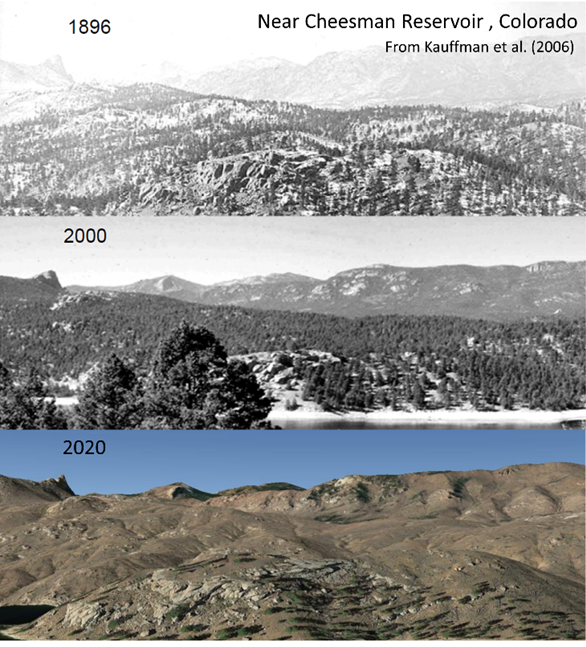 occhams_machete's tweet photo. Sometimes the risk of doing nothing is losing everything.  Transitioning western #forests  to fire and disturbance excluded landscapes can lead to catastrophic #wildfires and subsequent type conversion.  #Climate change will increase those risks https://t.co/adq1uhQc9Y