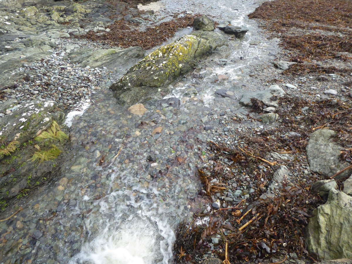 #photography #northwales #anglesey