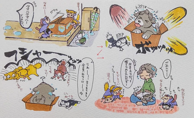たけや(ニンゲン)がまた何か拾ってきた…!!🐶📦 