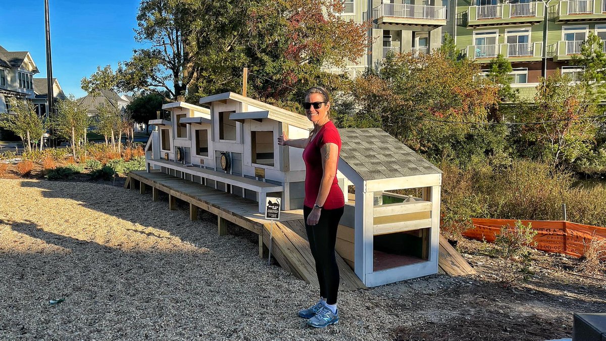 charitypaws's tweet photo. Love the way this community helps their colony cats! A whole little condo just for them. 😍 It is amazing to see what the community can do when they work together. https://t.co/rAx0zDSt7q  #colonycats #outdoorcats #animalwelfare https://t.co/kKEaeWQMgF