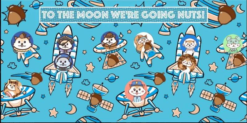 Squirrel DAO(🌰, 🌰) tweet media