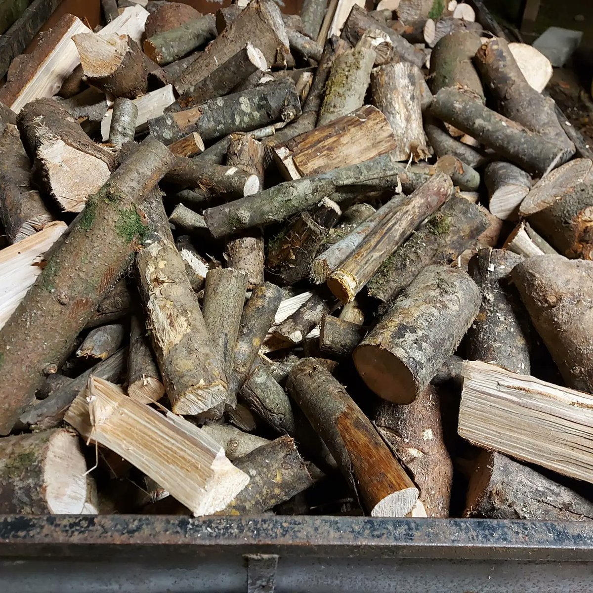 Tree_Lads tweet picture