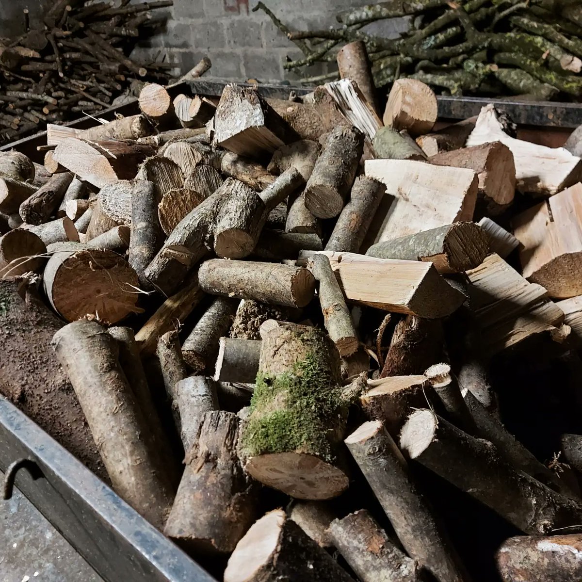 Tree_Lads tweet picture