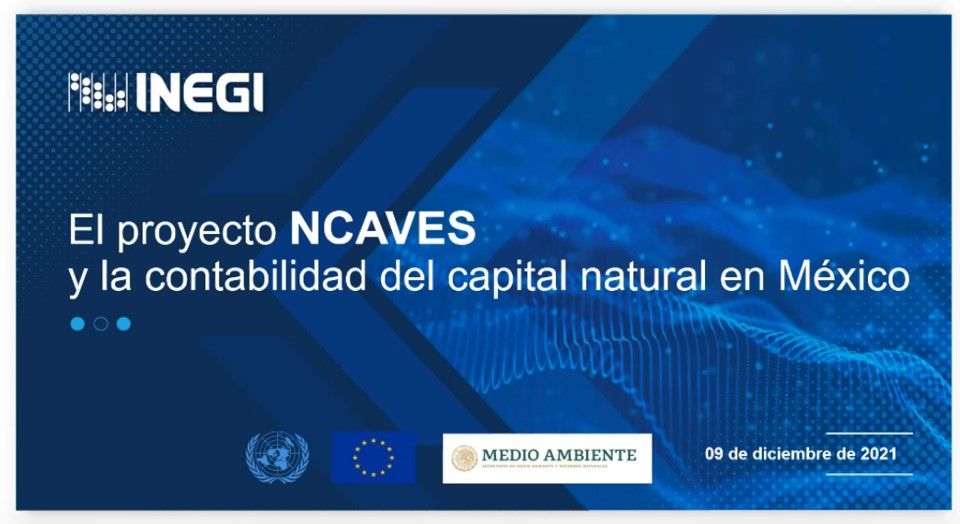INEGI_INFORMA's tweet photo. #INEGI realizó hoy el Foro Nacional sobre Contabilidad del Capital Natural y Valoración de los Servicios de los Ecosistemas (NCAVES) donde participaron expertos en economía y medio ambiente. 
👉🏽https://t.co/JyETaM6Fvp https://t.co/grncgMpKuO