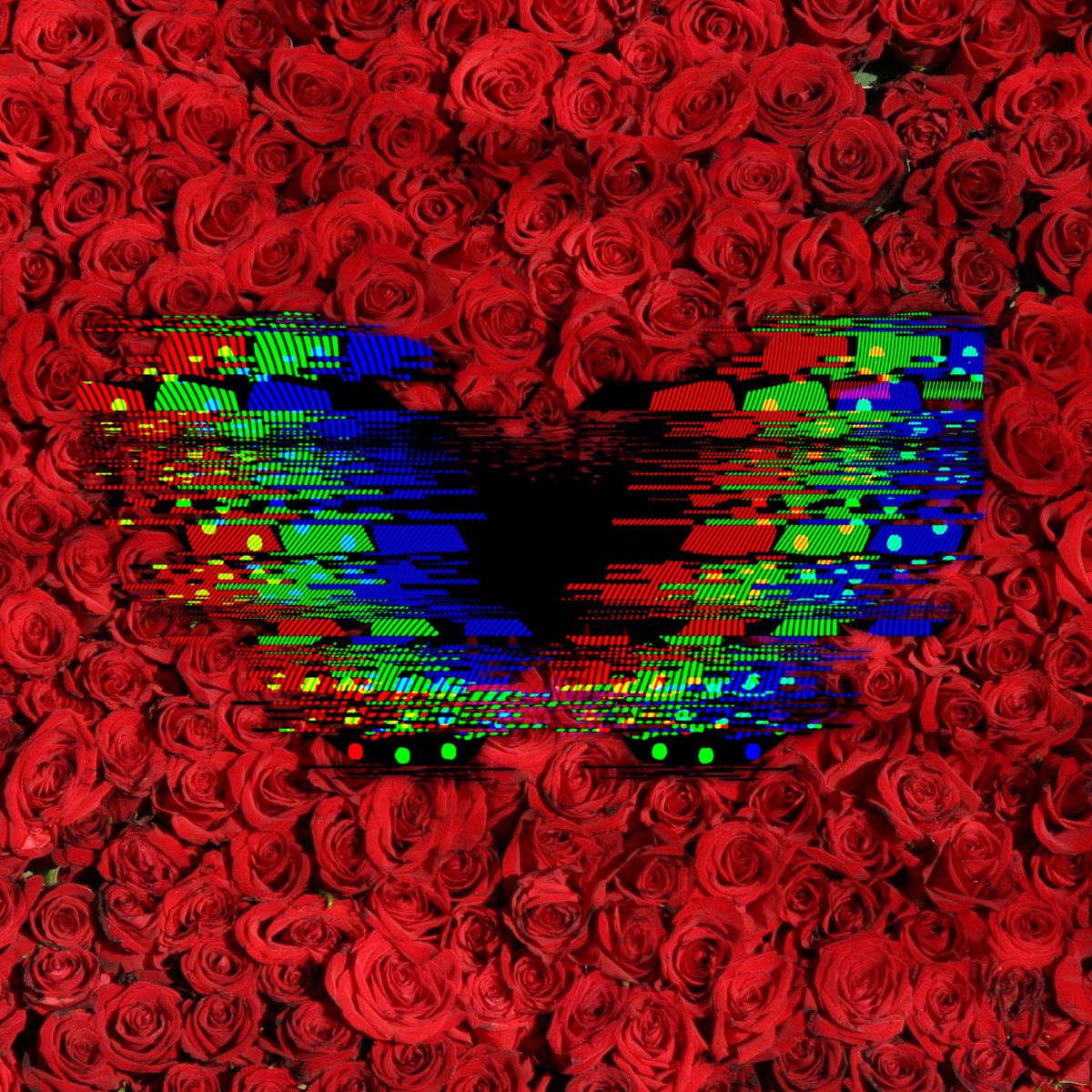 Beffectnft's tweet photo. Butterfly-Effect Project.4. This is the 4th Butterfly-Effect NFT in the Butterfly-Effect collection by Crypto-Huncho. #NFT #nftcollectors #Crypto #nftcollector #ETH https://t.co/NtoOEnNeI7